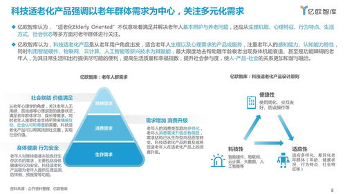 2021中國科技適老化產品研究報告 機遇、挑戰與路徑探索